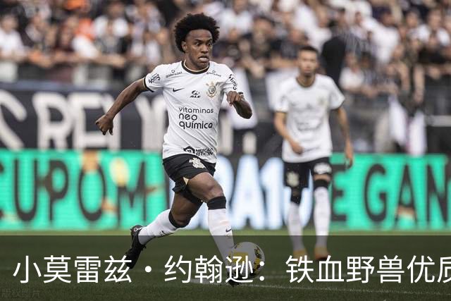 小莫雷兹·约翰逊：铁血野兽优质冠军拼图 开发三分顺位直逼乐透
