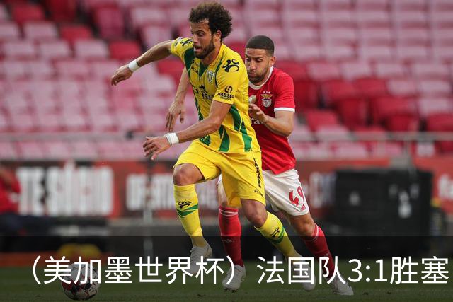 （美加墨世界杯）法国队3:1胜塞内加尔 姆巴佩梅开二度